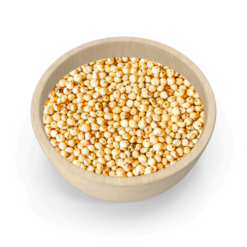SORGHUM